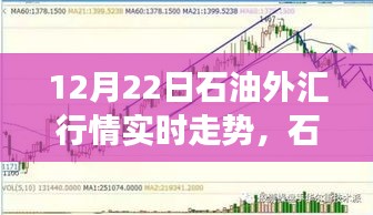 12月22日石油外汇行情深度解析，市场风云变幻实时走势