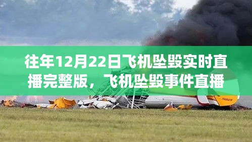 飞机坠毁事件直播现象深度分析与观点阐述，往年12月22日坠毁事件实时直播完整版回顾