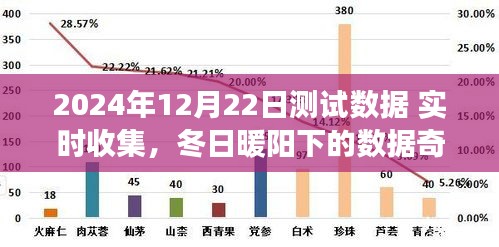 冬日暖阳下的数据奇遇，实时收集测试之旅开启