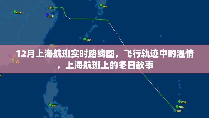 上海航班冬日温情纪实，飞行轨迹中的故事与实时路线图