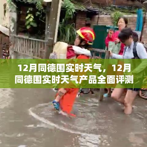 栖冲业简 第4页