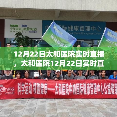 初学者与进阶用户