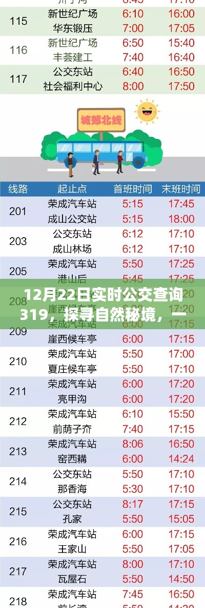 公交319探寻自然秘境，冬日奇遇之旅实时查询指南