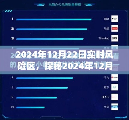 探秘风险区，2024年12月22日风险区的独特风味与实时风险解析
