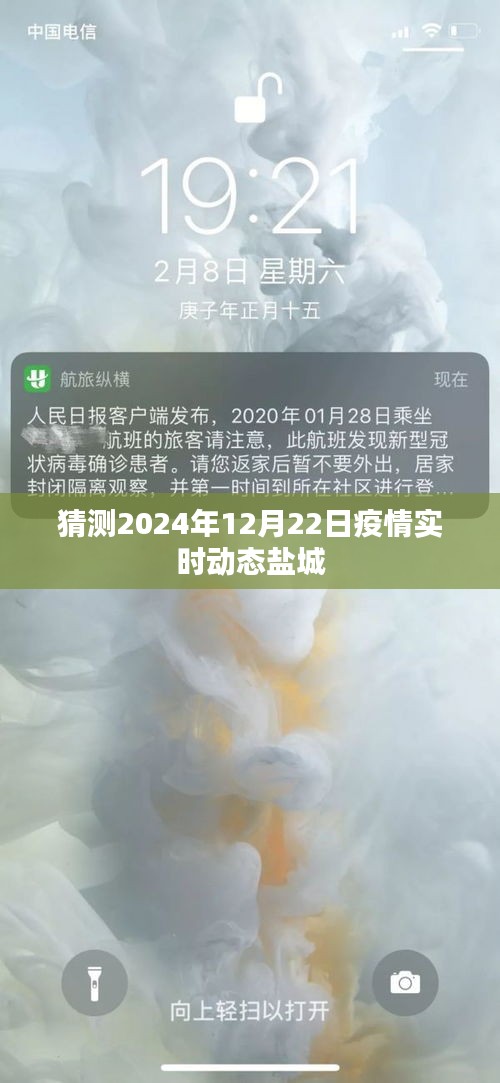 盐城疫情实时动态预测，2024年12月22日最新进展