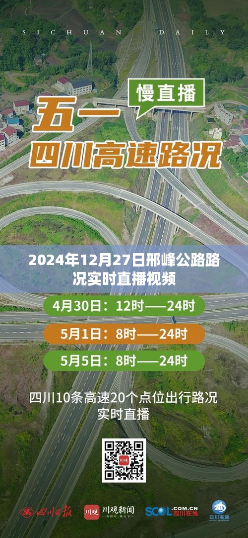 洵属可贵 第3页