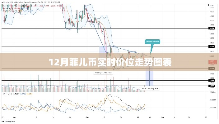 兽聚鸟散 第3页