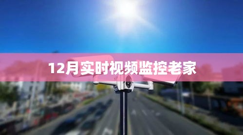 硕果仅存 第3页