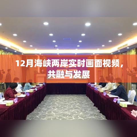 一张一弛 第3页