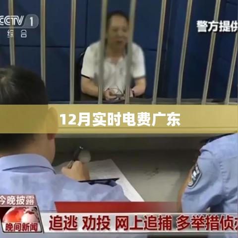 广东实时电费查询（最新更新）