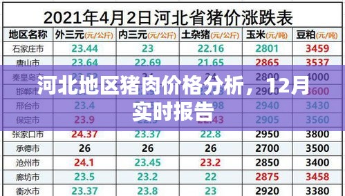 河北猪肉价格分析，最新实时报告揭示市场走势