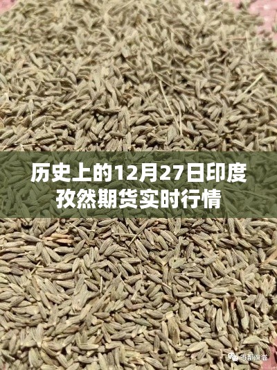 印度孜然期货实时行情分析，历史数据解读与最新动态
