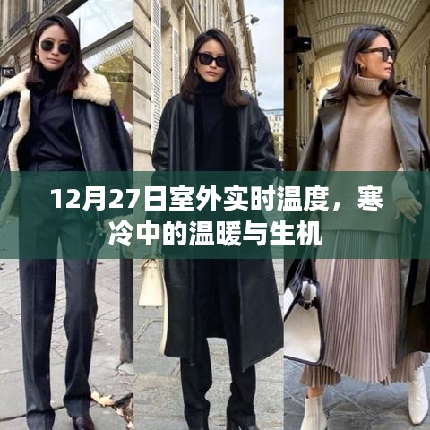 12月27日实时温度，寒冷中的生机与温暖时刻