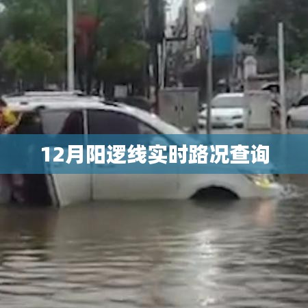 阳逻线实时路况查询（12月版）