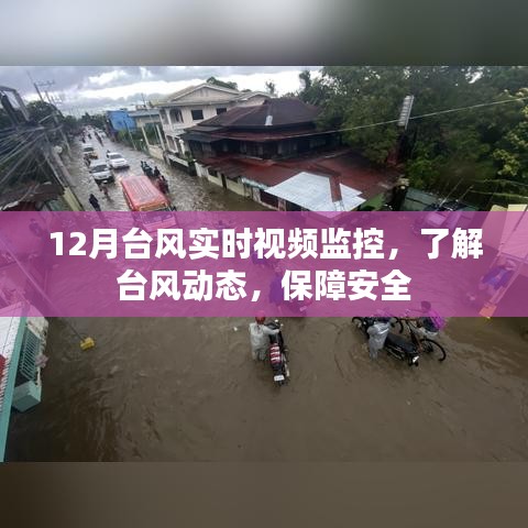 台风实时视频监控系统，保障安全，掌握动态