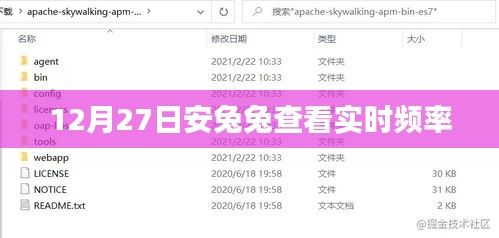 安兔兔实时频率查看功能介绍