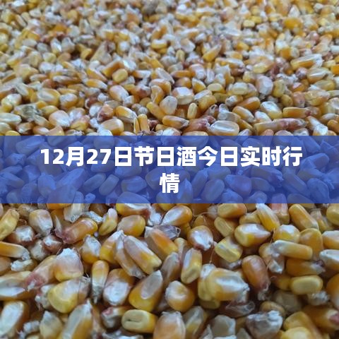 节日酒今日行情动态