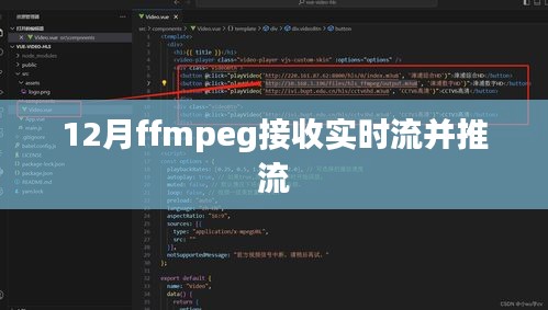 凤鸟不至 第3页