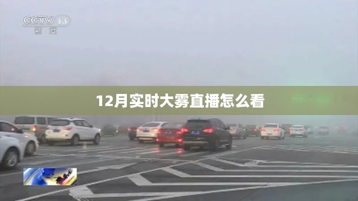 纲举目张 第3页