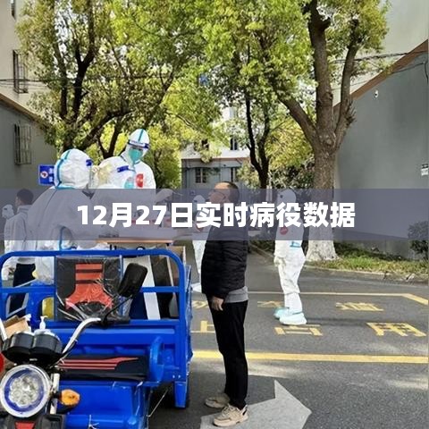 张皇铺饰 第3页