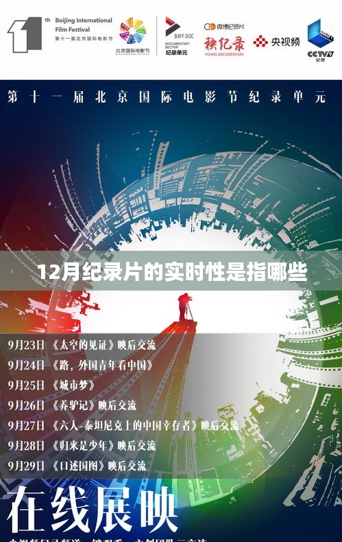 纪录片实时性解读，揭秘12月背后的故事