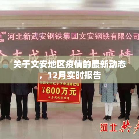 文安地区疫情最新动态，12月实时更新报告
