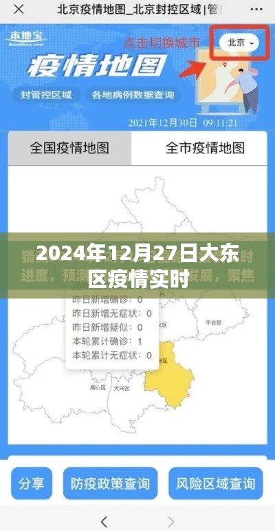 大东区疫情最新实时动态（2024年）