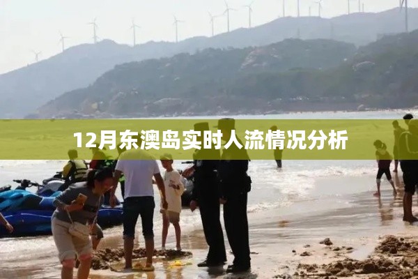 东澳岛十二月实时人流分析报告