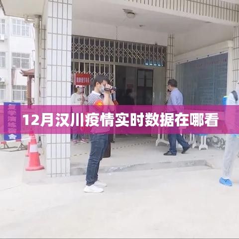 汉川疫情最新实时数据查询指南