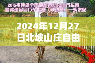 轻飞曼舞 第3页