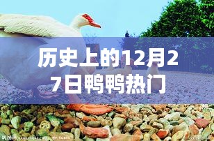 历史上的十二月二十七日鸭鸭热门事件回顾