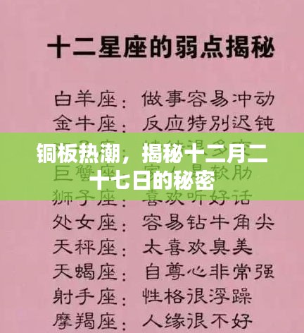 铜板热潮背后的秘密，揭秘十二月二十七日真相