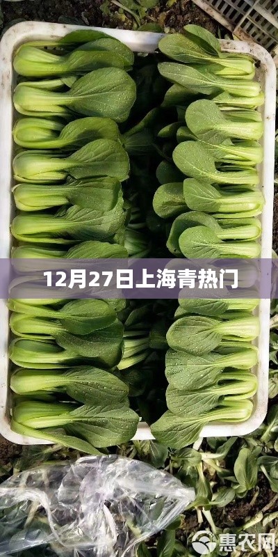 寒蝉僵鸟 第3页