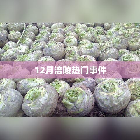 长安米贵 第3页
