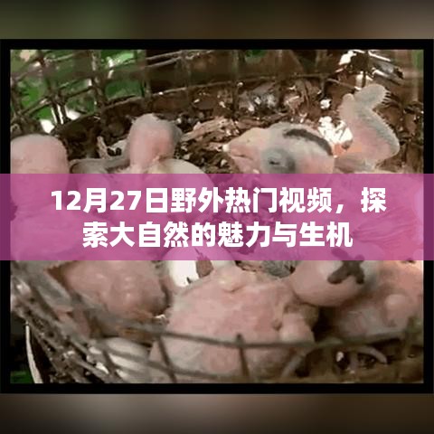 联系我们 第223页