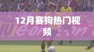 钗荆裙布 第3页