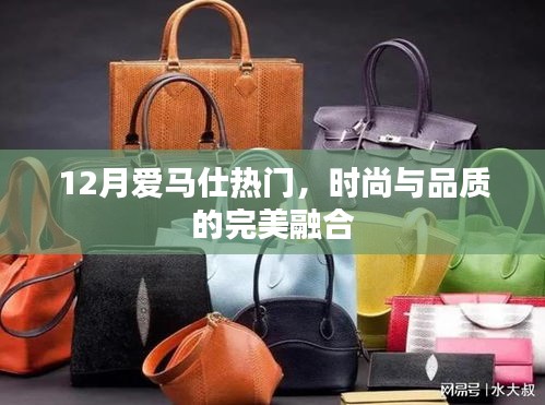 时尚品质之选，爱马仕12月热门精选