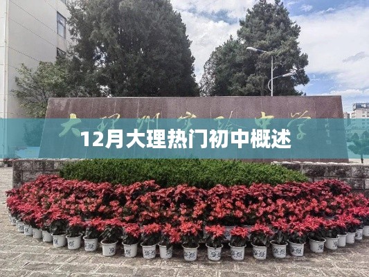 12月大理热门初中概览，特色教育一网打尽