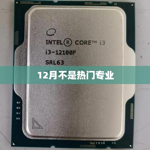 非热门之选，揭秘十二月独特专业魅力