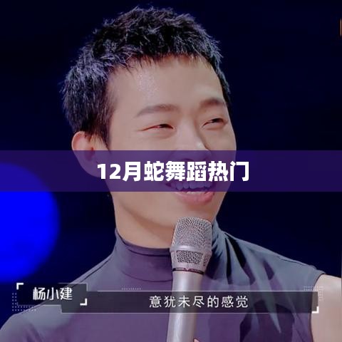 12月蛇舞蹈大热，惊艳全场！