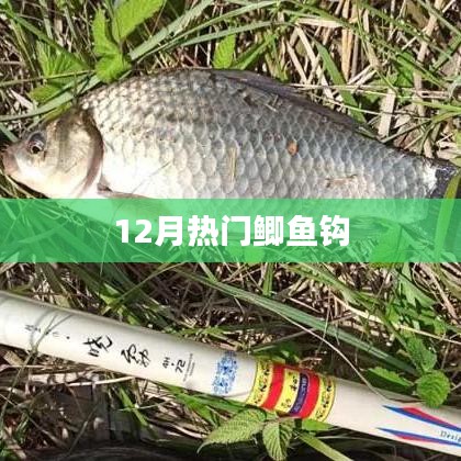 冬季鲫鱼钩选购指南