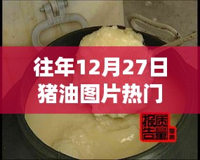 猪油图片热门盘点，历年12月27日精选回顾