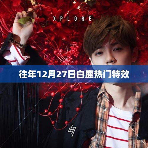 白鹿往年特效回顾，年末惊喜，白鹿特效盛宴