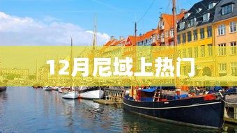 尼域热门风潮揭秘