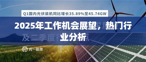 2025年工作市场展望，热门行业职业机会解析