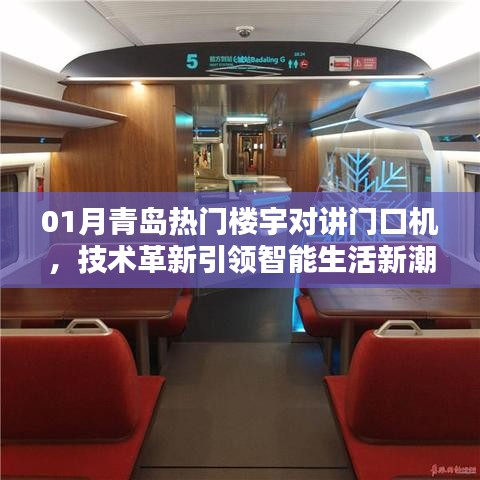 青岛智能楼宇对讲门口机，革新技术引领生活新潮流