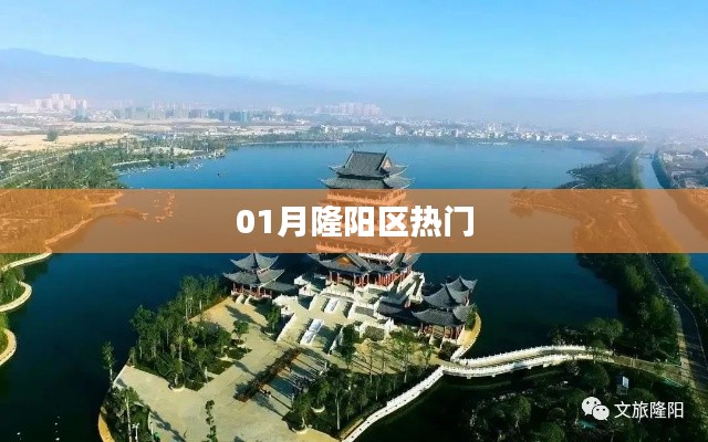 隆阳区一月热门资讯速递