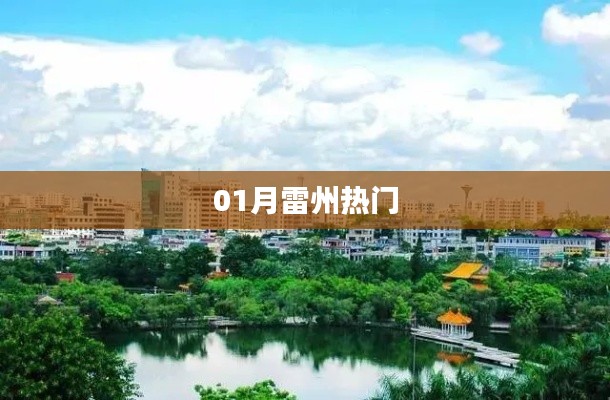 雷州一月热门事件盘点