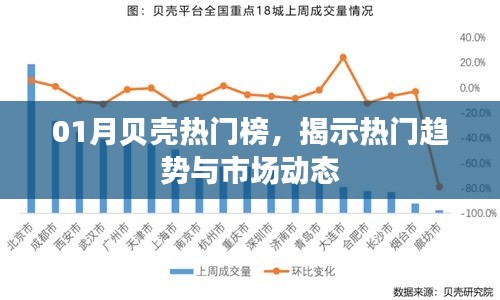 01月贝壳热门榜揭秘，市场趋势与热门动态