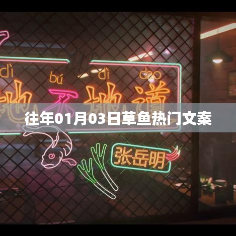 草鱼热门文案大揭秘，历年精选赏析